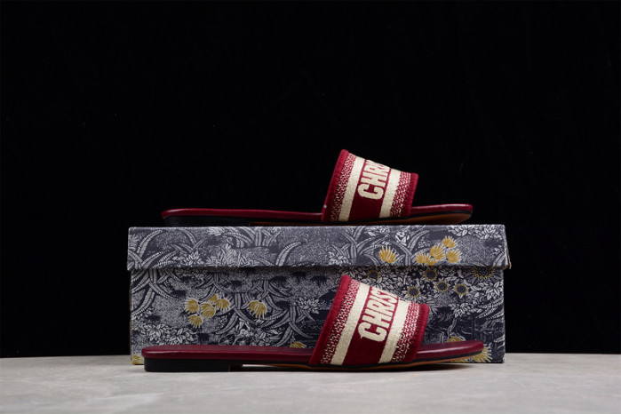 D*or slides ds-002