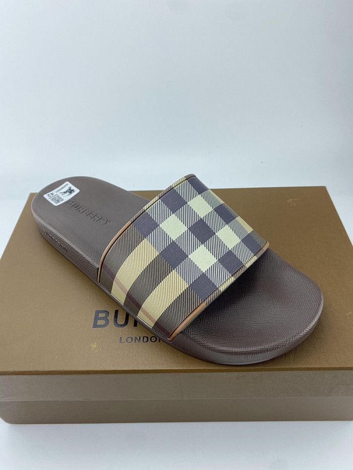 bur slide  burl-005
