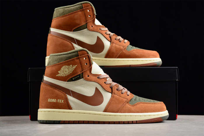 air jordan 1 high db2889-102