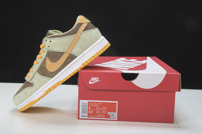 nk sb dunk low prm dh5360-300