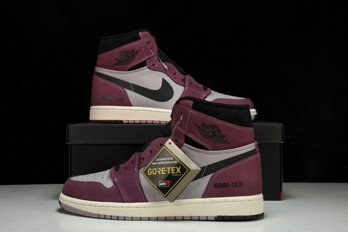 air jordan 1 high element gore-tex 