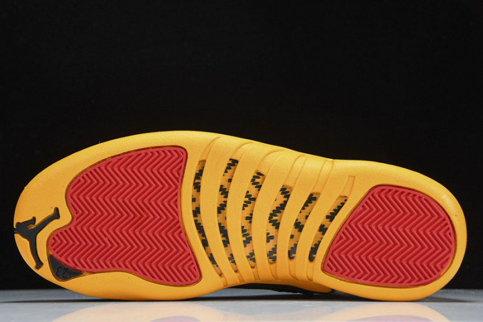 air jordan 12 dr8887-100